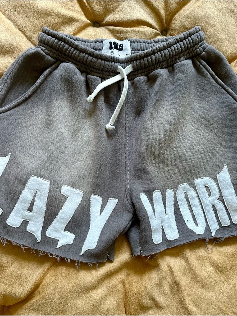 LWB Gray Athletic Terry Shorts with White 'LAZY WORLD' Appliqué